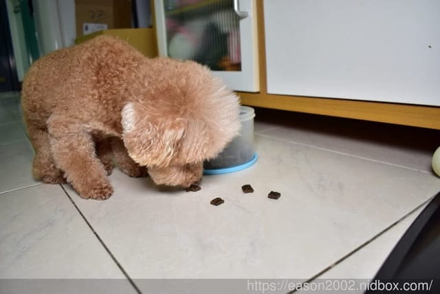 嗜口性最佳的寵物飼料推薦。ZIWI巔峰狗飼料。紐西蘭巔峰鮮肉狗糧，不含肉粉、抗生素及穀物、米、馬鈴薯，毛孩食用好安心