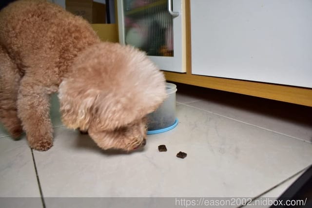 嗜口性最佳的寵物飼料推薦。ZIWI巔峰狗飼料。紐西蘭巔峰鮮肉狗糧，不含肉粉、抗生素及穀物、米、馬鈴薯，毛孩食用好安心