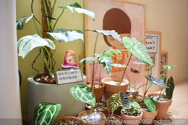 土城熱壓吐司|皇后熱壓吐司專賣店，口味選擇多樣化，還有鬆餅、咖啡、飲品～