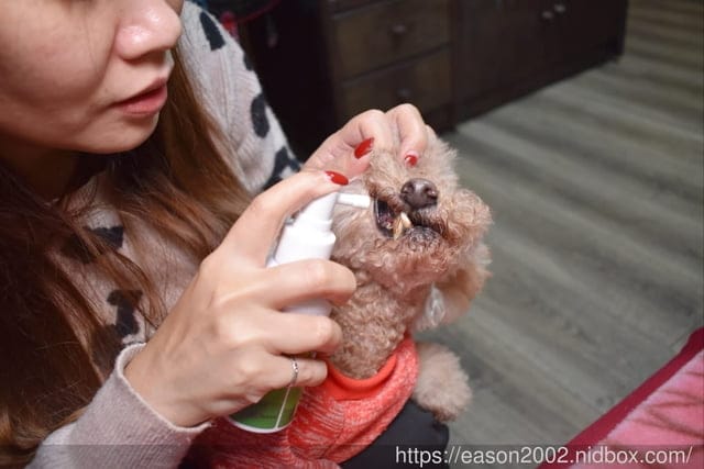 毛孩口臭，怎麼幫寵物刷牙？ GoodMo 歸毛家族 齒留香益菌口腔液 + 齦來健康護齒凝膠+ 撸齒這斑潔牙套