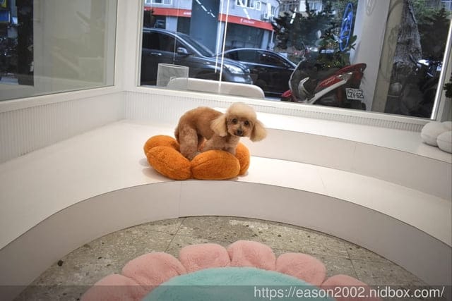 台北寵物美容哪家最貼心仔細！？ | 狗尾草寵物Furtail 精緻美容spa 日式按摩 芳療草本 聯絡簿完整記錄