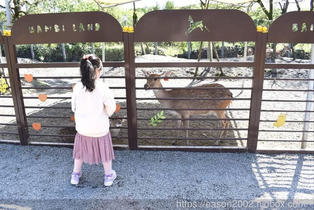 宜蘭冬山景點推薦 | 斑比山丘 Bambi Land 與可愛的小鹿近距離接觸 漫步於鹿群之間