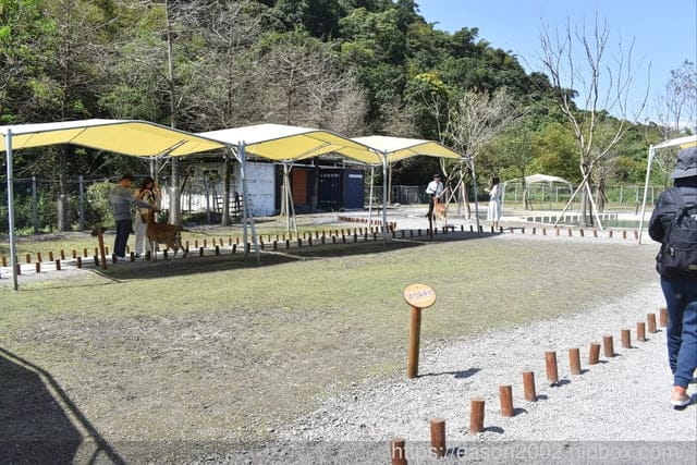 宜蘭冬山景點推薦 | 斑比山丘 Bambi Land 與可愛的小鹿近距離接觸 漫步於鹿群之間