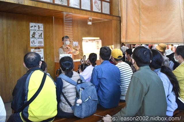 宜蘭冬山景點推薦 | 斑比山丘 Bambi Land 與可愛的小鹿近距離接觸 漫步於鹿群之間