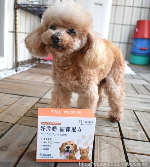 寵物全方位保健專家 | 寵樂會 好敢動 關節配方 專利UC-II、魚膠原蛋白、褐藻醣膠、海藻鈣