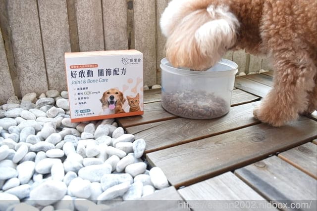 寵物全方位保健專家 | 寵樂會 好敢動 關節配方 專利UC-II、魚膠原蛋白、褐藻醣膠、海藻鈣
