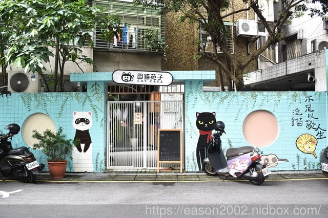 永和 囧貓苑子｜貓咖啡廳 自在舒適的與喵星人一同享受療癒的午茶時光，完成你不能養寵物的願望