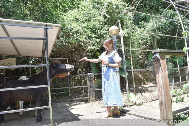 新北三芝親子餐廳推薦 | 小馬貝菈親子餐廳 嚴選天然食材 結合在地小農有機蔬菜 天然健康低負擔 戶外小花園 親近小動物