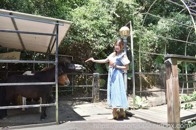 新北三芝親子餐廳推薦 | 小馬貝菈親子餐廳 嚴選天然食材 結合在地小農有機蔬菜 天然健康低負擔 戶外小花園 親近小動物