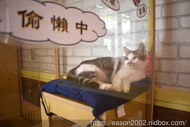 宜蘭拉麵推薦 | 頭城好吃拉麵分享 屋台拉麵 結合異國風味的創意日式拉麵 經典創意小菜