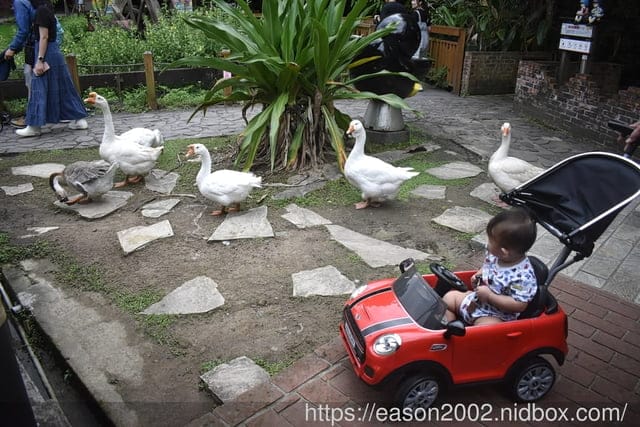 Snmartmom 聰明媽咪 | MINI Cooper 嬰幼兒造型滑步車 Push Car 台灣獨家代理 可拆卸操控推桿，輕鬆操控助步推行 兒童手推車、平衡車、兒童滑步車 推薦
