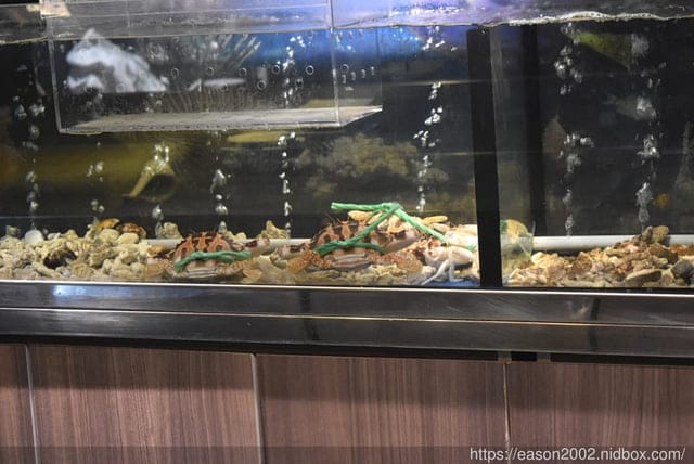 台北餐酒館推薦｜閑閑餐酒館 活體海鮮 粵式料理 私廚鐵板燒 慶生、小型聚會、包場、約會、閨蜜聚餐、春酒、尾牙