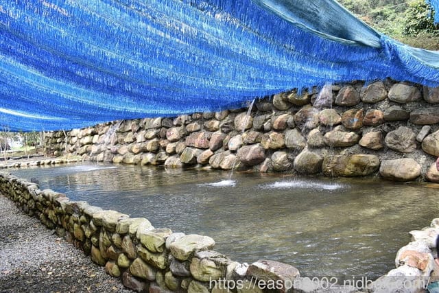南投親子露營推薦 | 南投水岸松林露營區 大草原、兒童戲水、沙坑、手作DIY、餵食小動物、溯溪、水彈、釣魚、露營烤肉；夢幻露營水管屋、哈比屋、貨櫃屋、浪漫屋、童話屋 等等
