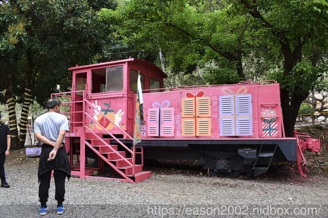 南投親子露營推薦 | 南投水岸松林露營區 大草原、兒童戲水、沙坑、手作DIY、餵食小動物、溯溪、水彈、釣魚、露營烤肉；夢幻露營水管屋、哈比屋、貨櫃屋、浪漫屋、童話屋 等等