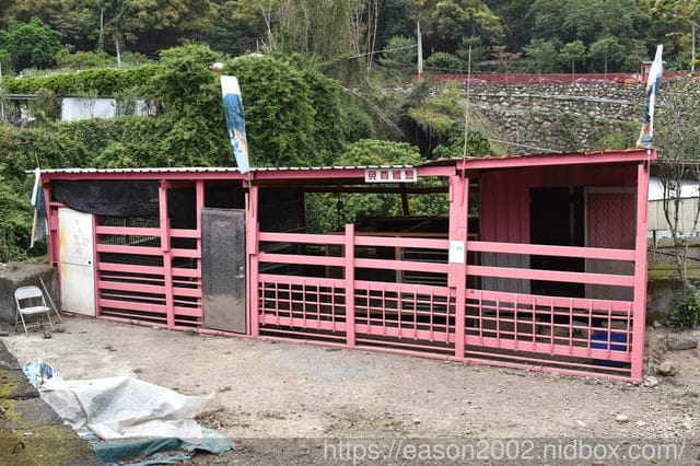 南投親子露營推薦 | 南投水岸松林露營區 大草原、兒童戲水、沙坑、手作DIY、餵食小動物、溯溪、水彈、釣魚、露營烤肉；夢幻露營水管屋、哈比屋、貨櫃屋、浪漫屋、童話屋 等等