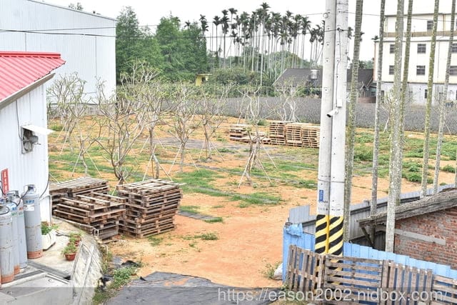 南投下午茶複合式休閒園區推薦 | 高地人莊園（南投總店） 獨家阿里山薊奶茶口味菠羅泡芙 網美風雞蛋花園即將登場