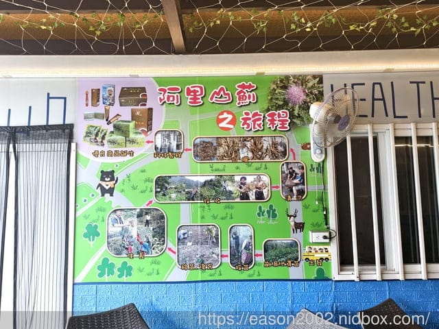 南投下午茶複合式休閒園區推薦 | 高地人莊園（南投總店） 獨家阿里山薊奶茶口味菠羅泡芙 網美風雞蛋花園即將登場