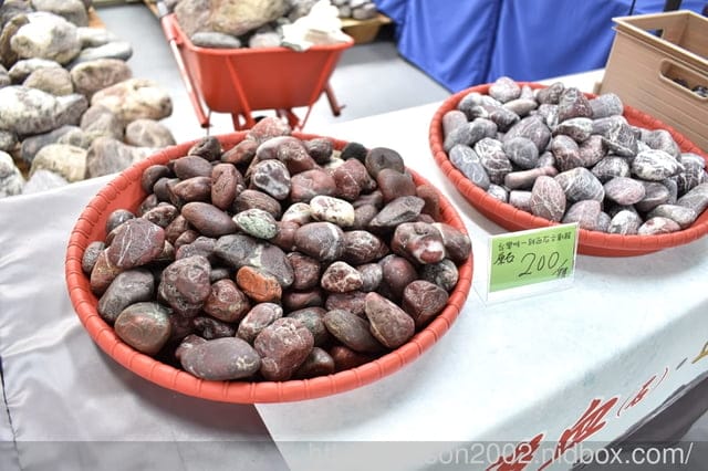 南投下午茶複合式休閒園區推薦 | 高地人莊園（南投總店） 獨家阿里山薊奶茶口味菠羅泡芙 網美風雞蛋花園即將登場