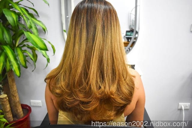 台中沙鹿美髮推薦 | NS hair salon 美髮 美髮師技術一流，新韓式護髮+頭皮養護，輕鬆解決頭皮乾癢、毛燥髮困擾