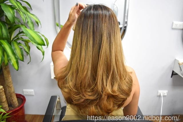 台中沙鹿美髮推薦 | NS hair salon 美髮 美髮師技術一流，新韓式護髮+頭皮養護，輕鬆解決頭皮乾癢、毛燥髮困擾
