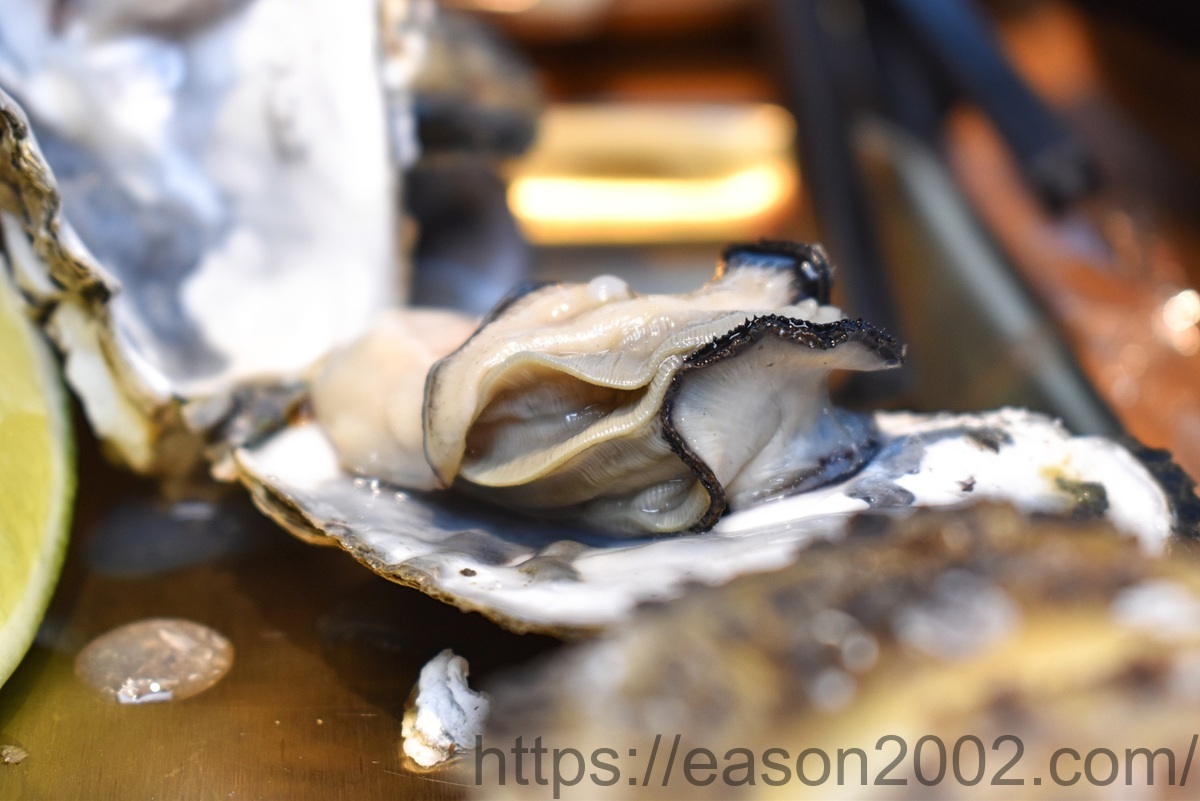 蘆洲佳瑪百貨商圈美食 | 蘆洲士林串燒 平價串燒、烤生蠔、生啤酒、牛骨髓牛肉火鍋，聚餐、節日慶祝首選